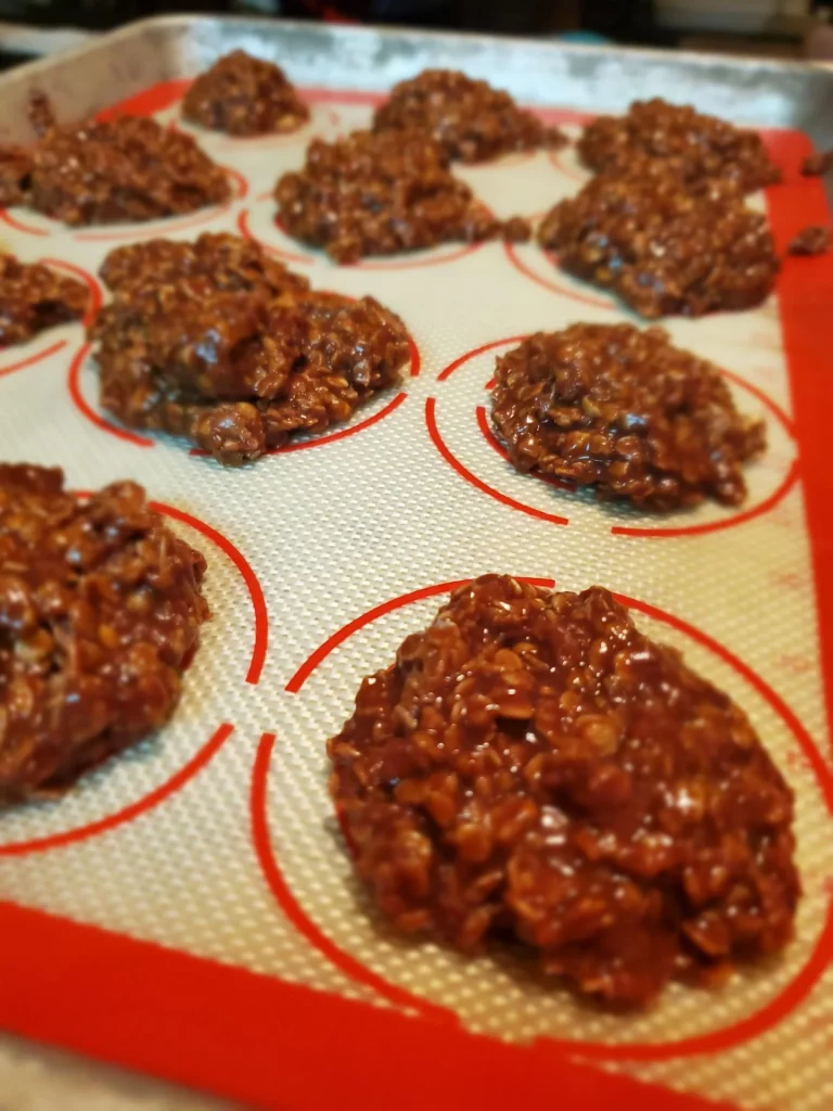Weight Watchers No-Bake Oatmeal Cookies