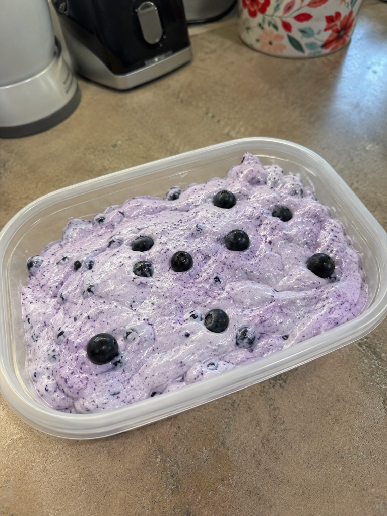 Weight Watchers Blueberry Fluff (Ultra Low-Point Version)