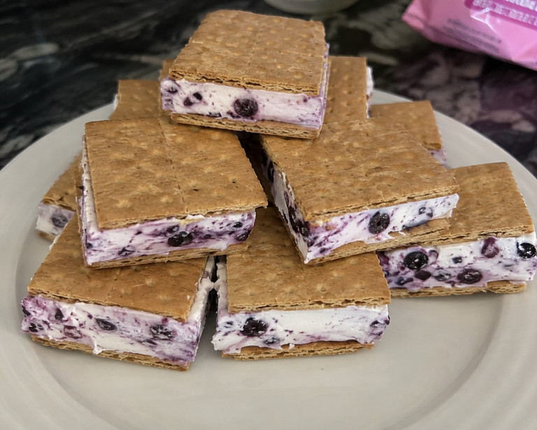 Weight Watchers Blueberry Frozen S’mores